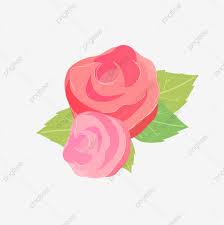 وردة وردية وردة مرسومة باليد ناقلات ناقلات وردة مرسومة باليد