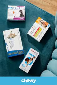 Many require a prescription from your vet, but our buying guide will discuss the pros and cons of oral and topical medications, as well as when to. Pin On Outdoor Fun With Pets