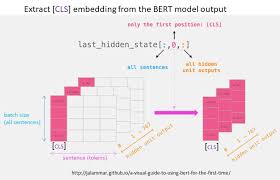 If your model has multiple outputs, you can specify different losses and metrics for each output, and you can modulate the contribution of each output to the total loss of the model. Training Tfbertforsequenceclassification With Custom X And Y Data Stack Overflow