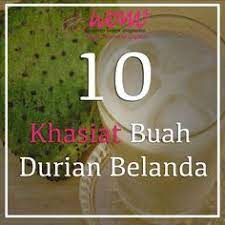 Daun durian belanda ubat kanser dan penyakit kronik. 11 10 Khasiat Buah Durian Belanda Ideas Durian Online Magazine Women Online