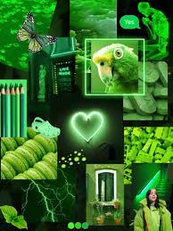 Collage aesthetic vert🐢 | Fond d'écran vert, Fond d'écran coloré, Fond  d'écran téléphone