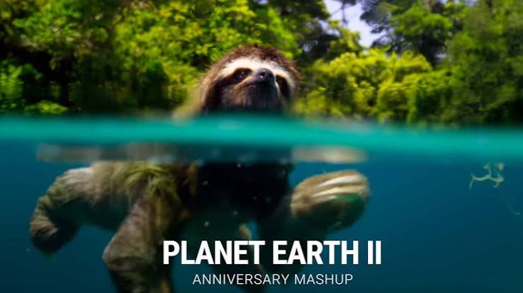 IMDb Supercuts - "Planet Earth II" | Anniversary Mashup | IMDb