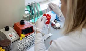 O teste rápido deve ser interpretado por um médico, que vai. Farmacias Serao Autorizadas A Vender Testes Rapidos De Covid 19 Portugues Brasil