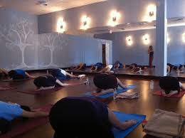 Love That Tree Yoga Studio Yoga Space Design Yoga Room