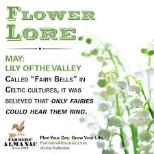 Lily Of The Valley Lily Of The Valley Lily Of The Valley Flowers Birth Month Flowers