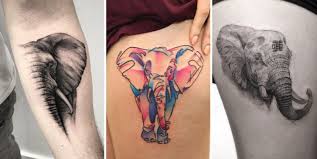 Most common men's tattoo designs. 51 Exceptional Elephant Tattoo Designs Ideas Tattooblend