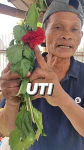 Naunsa nmn tawon ni oi.