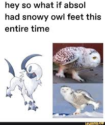 Hey So What If Absol Had Snowy Owl Feet This Entire Time Ifunny Pokemon Funny Pokemon Memes Pokemon Comics