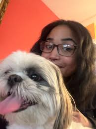 Lost dog Buford found in Buckhannon area