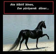 Atasozleri Hayvan Komik Ozlu Sozler