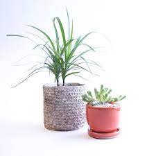 Our plastic plant pots come in two types: Plant Saucers When Does Your Planter Need A Saucer Sunset Sunset Magazine