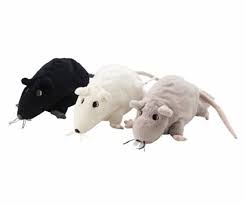 Black Ikea Gosig Ratta Rat Mouse Stuffed Animal Soft Toy 9 By Ikea Soft Toy Animals Cute Piglets Cute Rats