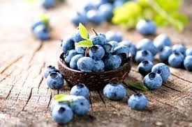 In asia, the small tart fruit of mume (prunus mume) is widely grown and processed into a wide variety of goods including dried fruit, pickles and drinks. Blueberry Chocolate