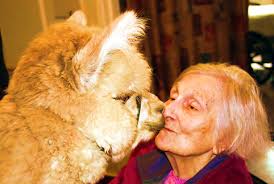 togeneration Generation