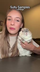 Rabbit Eating Sprout