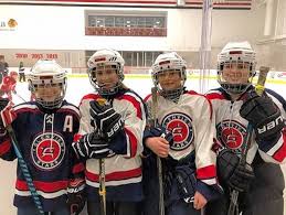 Deep concern over aau impact revealed in ahai board minutes by cayh editor. Youth Hockey Tournament Raises 5k For Gold Star Families