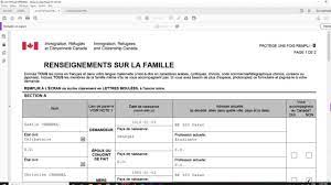 Comment Remplir Ce Formulaire Renseignement Sur La Famille Imm5707 F Youtube