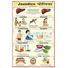 Malaria Chart India Malaria Chart Manufacturer Malaria