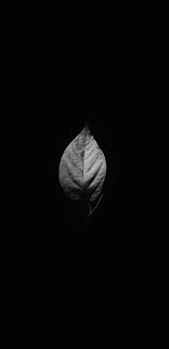 1080x2220 Background Hd Wallpaper 415 Lift your spirits with funny jokes, trending memes, entertaining gifs, inspiring stories, viral videos, and so much more. 1080x2220 background hd wallpaper 415