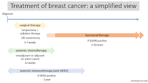 Stage 3 breast cancer treatment timeline. Treatment Of Breast Cancer A Simplified View Surgical Grepmed