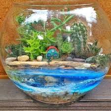Mahmut Kirnik 1573 Diy Succulent Terrarium Miniature Garden Garden Terrarium
