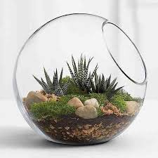 Aquí está el jardín de cactus/suculentas de arcilla que no tiene agua! Todo Sobre Terrarios De Cactus Cactus Y Suculentas