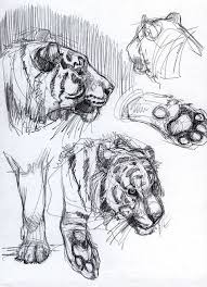 Joe Weatherly Animal Drawings Animal Art Art