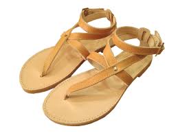 Image result for Aedesia