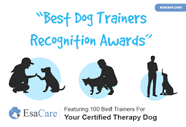 How did you get started in the dog training business? A List Of 100 Highly Popular Dog Trainers 2020 Esa Care