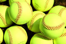 Local roundup: Barrouk fans 14 as Dallas softball holds off Wyoming Area