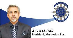 The appointment of two members from the government to sit on the council; Press Release Malaysian Bar Welcomes Appellate Court Decision To Quash Contempt Of Court Order Against A Lawyer The Malaysian Bar