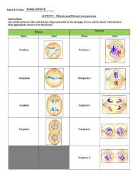 These puzzles are great to have for quick activities to reinforce plant and animal cell content. Yusop Stem11 1 Meiosis Pdf Meiosis Mitosis