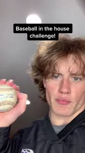 Baseball in the house challenge #cory #hotdog #MACscaraface #poop #geoff