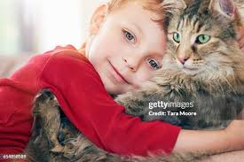 194 Hazel Bond Stock Photos, High-Res Pictures, and Images