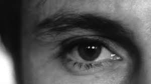 We did not find results for: The Scorsese Experience Who S That Knocking At My Door The Solute