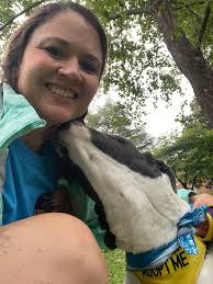 🥰💜🆘🙏 Blue Diamond is at Acctphilly! Adopt, Foster, Rescue🙏