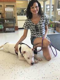 Rain pet rescue orlando fl. Rain Rescue Animals In Need