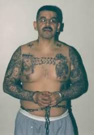 images?q=tbn:ANd9GcSSBYZT_BBGldyvkas5rL9