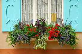 Manufactured since 1994, they've held up in thousands of applications since then. 32 Stunning Flower Box Ideas Arrangements Home Stratosphere