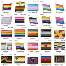 La homosexualidad no es una enfermedad en cambio la homofobia si lo es. Gemelos Genderfluid Bandera Orgullo Gay Arco Iris Gemelos Gemelos Regalo Cefa Com Ar