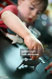 30 Boy Playing With Toy Sharks Stock Photos, High-Res Pictures, and Images 