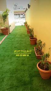 pin by noor on decor around the worlds plants world