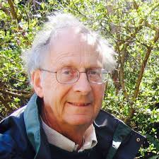 The History and the Myth of Scots Pine