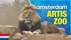 ARTIS - Amsterdam Royal Zoo - YouTube