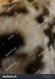 Cartera de fotos e imágenes de Natalie Bell | Colaborador de Shutterstock