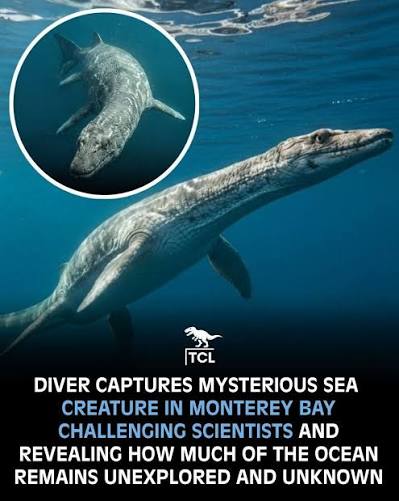 Deep-sea secrets unlocked: unknown sea dinosaurs discovered