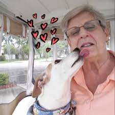 Are Golden Pond drive through Christmas lights