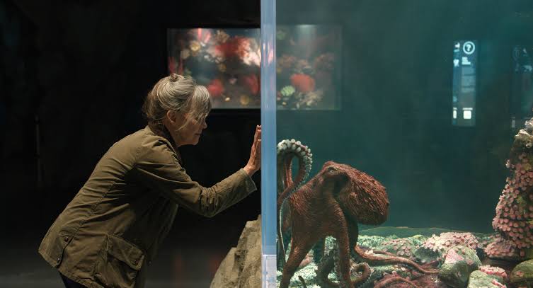 Remarkably Bright Creatures' Review: Sally Field in Netflix Drama