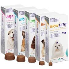 Bravecto is also indicated for the treatment and control of amblyomma americanum (lone star tick) infestations for 8 weeks in dogs and puppies 6 months of. Bravecto Chewable Dog Flea Tick Treatment Peticular