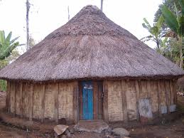 Rumah honai ini bisa ditemukan di pedalaman papua yang biasanya terletak di pegunungan atau pun lembah. Rumah Adat Papua Honai Ciri Khas Struktur Fungsi Kandungan Filosofis Dan Asal Usul Nama Haipedia Com